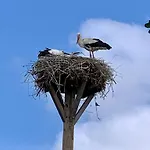 Vakantiehuis Wendlandhof Lueggau *