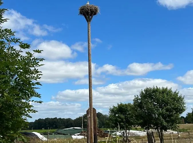 Tatil Evi Wendlandhof Lueggau