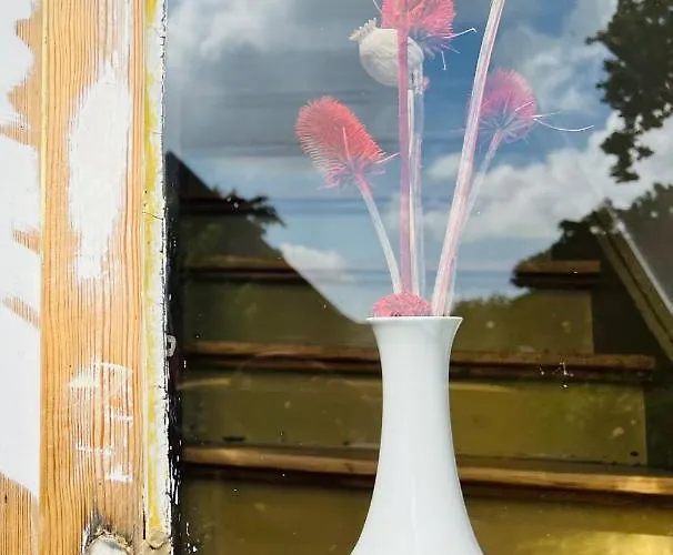 Tatil Evi Wendlandhof Lueggau Dannenberg